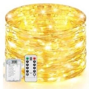 Warm White Twinkle Fairy Lights, Remote Controlled, NWT